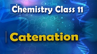 Catenation  P Block Elements  Chemistry Class 11 [upl. by Nies7]