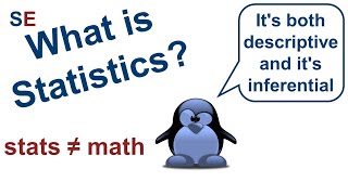 What is statistics  StatsExamples [upl. by Dnalel]