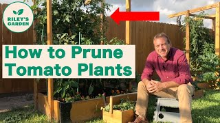 How to Prune Tomato Plants [upl. by Enovad17]