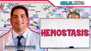 Hematology  Hemostasis Coagulation Cascade [upl. by Fates]