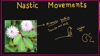 NASTIC MOVEMENTS  Control amp Coordination in Plants  Class10 Biology [upl. by Llennej]