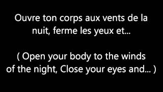 Garou amp Céline Dion  Sous le vent LYRICS  TRANSLATION [upl. by Anelam]