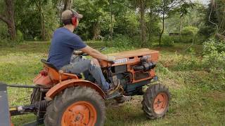 Flail Mowing  Kubota B7100 [upl. by Laura]