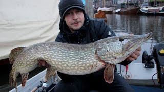 Vissen met dood aas op snoek in de haven deel 1 [upl. by Mairim]