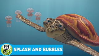 SPLASH AND BUBBLES  One Big Ocean Song  PBS KIDS [upl. by Ynelram]