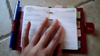 Filofax Mini Chameleon Review [upl. by Stanleigh673]