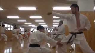 Training at JKA Japan Karate Association Honbu Dojo [upl. by Lindemann461]