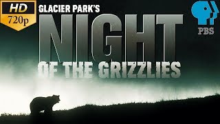 Glacier Parks Night of the Grizzlies  PBS Documentary ⁷²⁰ᵖ [upl. by Sherrer783]