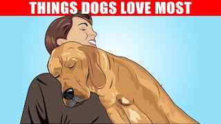 15 Things Dogs Love the Most [upl. by Abdella]