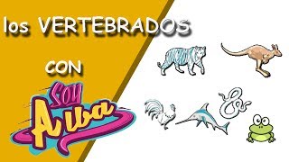 Clasificación de los Animales VERTEBRADOS para niños de primaria [upl. by Nilek]