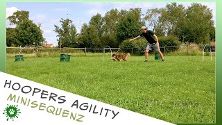 Hoopers Agility Minisequenz Hoopers Training 2021 [upl. by Ecirp]