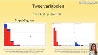 Statistiek Diagrammen kwantitatief  Wiskunjeleren [upl. by Llerryt30]