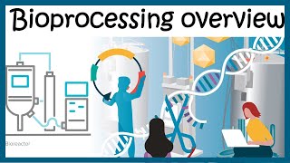 Bioprocessing overview Upstream and downstream process [upl. by Nnylannej]