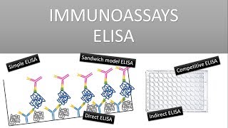 The Principle of Immunoassays ELISA Enzyme Linked Immunosorbent Assay [upl. by Wivina]