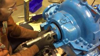 Pump Serie 4900 Mechanical Seal Assembly [upl. by Silvana]