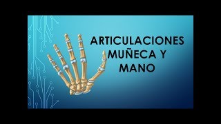 Articulaciones muñeca y mano [upl. by Timothea809]