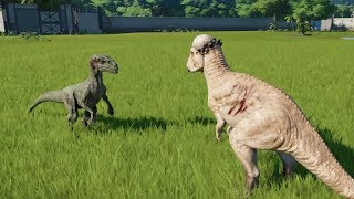 Pachycephalosaurus VS Velociraptor  Jurassic World Evolution [upl. by Panta]