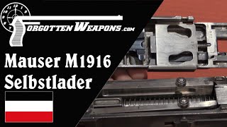 Mauser Selbstlader M1916 Infantry Version [upl. by Treiber344]