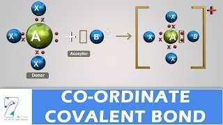 Coordinate Covalent Bond [upl. by Shiverick924]