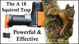 The A18 Squirrel Destroyer  A Powerful amp Effective CO2 Squirrel Trap  Mousetrap Monday [upl. by Ille408]