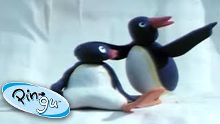 Pingus Icy Adventure  Pingu  Cartoons for Kids [upl. by Gipsy]