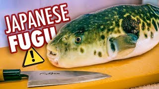 I Tried Japans Most Dangerous Food  Poisonous Blowfish Fugu [upl. by Ahseyi883]