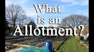 What is an allotment Growing food in the UK [upl. by Akierdna]