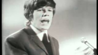 Hermans Hermits  Cant You Hear My Heartbeat [upl. by Campman]