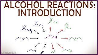 Introduction to Alcohol Properties and Reactions [upl. by Noorah]