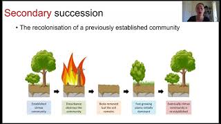 Ecological succession 2 [upl. by Okiam]