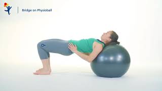 How to Properly Inflate Your Exercise Ball [upl. by Noir]