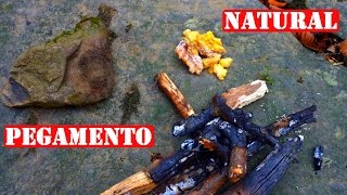 Cómo Hacer Pegamento Sólo Con Materiales Naturales [upl. by Metabel209]