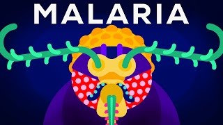 Genetic Engineering and Diseases – Gene Drive amp Malaria [upl. by Haily]