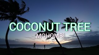 Mohombi  Coconut Tree Ft Nicole Scherzinger lyrics  Under the coconut tree [upl. by Lupita]