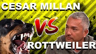 Cesar Millan vs OVERPROTECTIVE Rottweiler [upl. by Wheaton545]