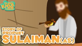 Prophet Stories In English  Prophet Sulaiman AS Story Stories Of The Prophets  Quran Stories [upl. by Niamjneb]