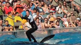 Awesome SeaWorld  Acrobatic Killer Whales Orcas and Trainers in the Water [upl. by Niel]