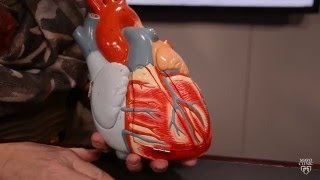 Heart palpitations What you need to know [upl. by Hammock]