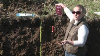 Soil Profiling Structure [upl. by Aushoj323]