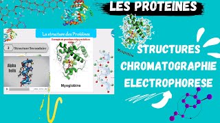 📣 Proteins Structures Techniques de séparation Chromatography Electroporesis اقوى شرح للبروتينات [upl. by Lunette278]