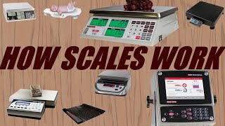 How Does a Digital Scale Work [upl. by Peony359]