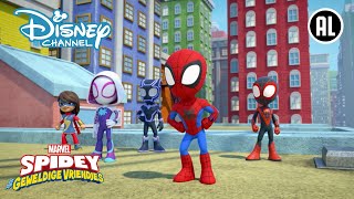 Spidey 🕸️  Aflevering 1  Disney Channel NL [upl. by Grae]