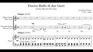 Gioacchino Rossini  Duetto buffo di due gatti [upl. by Amoihc957]