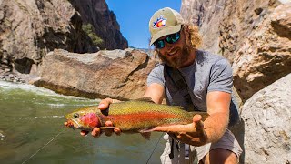 Fly Fishing the Salmonfly Hatch of the Black Canyon in Colorado  ROCK TROLLS [upl. by Ainniz997]