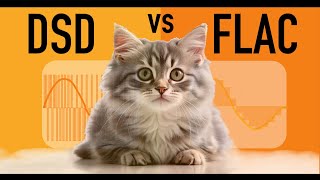 DSD vs FLAC DSD vs PCM 15 Key Point Guide [upl. by Fabyola]