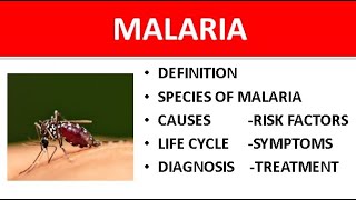 Malaria Explained Symptoms Causes Species Types Life Cycle amp Treatment [upl. by Elwin]