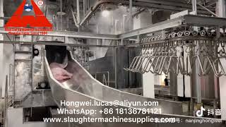 Pig Slaughterhouse Pork Meat Processing Plant Modern Hog Abattoir Meat Production Equipment Factory [upl. by Ainala]