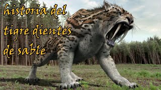 HISTORIA DEL TIGRE DIENTES DE SABLE  animales extintos [upl. by Kelli]