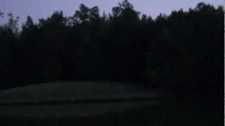 Bats Echolocating over the pond  2 [upl. by Heddy]