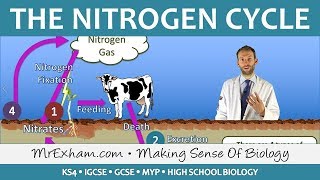 Bacteria Definition amp Types  Primary School Science Animation [upl. by Stag]